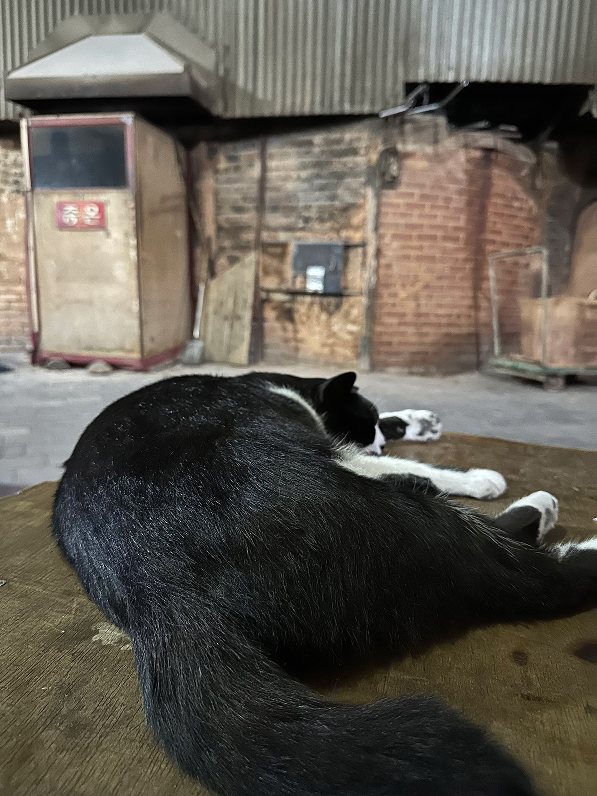 2025-06-29_19-52-48_321